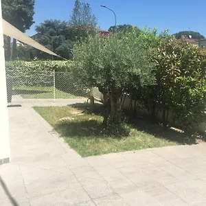 L’ulivo Ravenna